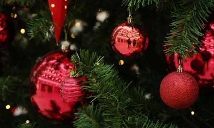 Роспотребнадзор Татарстана: на республиканскую ёлку допустят только вакцинированных детей - НТР 24