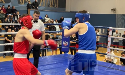 Нижнекамцы завоевали 19 медалей на турнире по боксу памяти тренеров - НТР 24