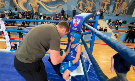 Турнир по боксу в Нижнекамске получил статус международного - НТР 24