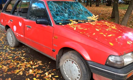 Юрист объяснил, какие машины могут эвакуировать как автохлам с парковок - НТР 24