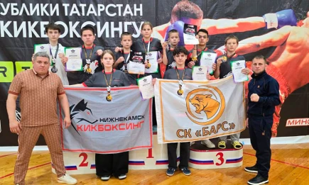 Нижнекамские кикбоксеры завоевали восемь золотых медалей на чемпионате Татарстана - НТР 24