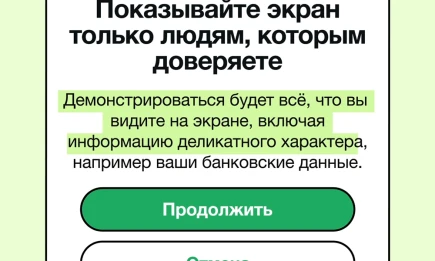 В WhatsApp* рассказали о новой функции, которая может спасти от мошенников - НТР 24