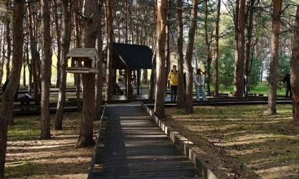 Выходные в Нижнекамске без скуки: концерты, спектакли и творческие мастерские - НТР 24