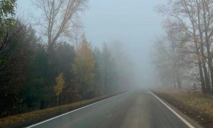 Ледяной дождь и сильная гололедица ожидаются в Татарстане 13 ноября - НТР 24
