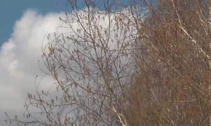 В Татарстане ожидаются снег, гололедица и порывы ветра до 21 м/с - НТР 24