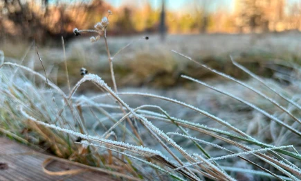 МЧС Татарстана предупреждает о сильном ветре и гололеде 18 ноября - НТР 24