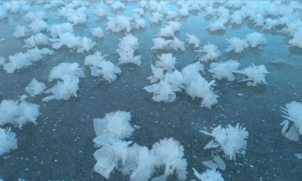 Гололед и сильный ветер: МЧС дало рекомендации жителям Татарстана - НТР 24