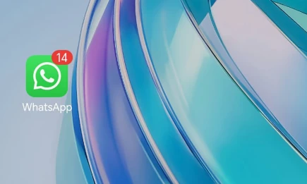 Запущен полноценный мессенджер WhatsApp* для Apple Watch - НТР 24