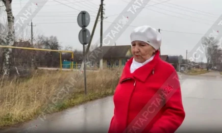 Бешеная лиса атаковала пенсионерку в Татарстане - НТР 24