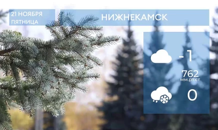 Прогноз погоды в Нижнекамске на 21-е ноября 2025 года - НТР 24