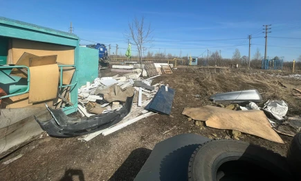 Экологи в деле! - НТР 24