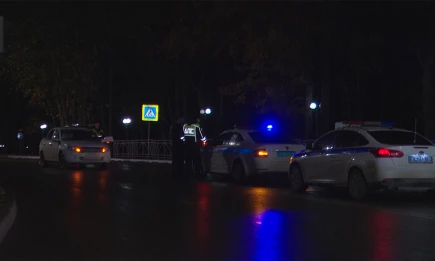 В Нижнекамске призвали пешеходов быть заметнее ночью - НТР 24