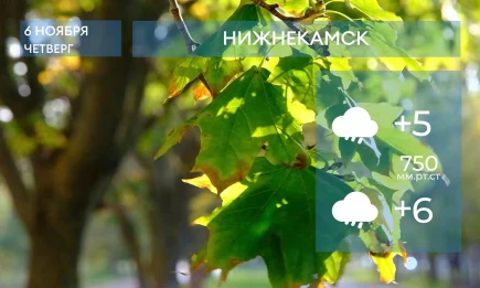Прогноз погоды в Нижнекамске на 6-е ноября 2025 года - НТР 24