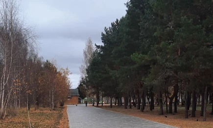 Аномальное тепло и дожди: синоптики рассказали о погоде в Татарстане до конца недели - НТР 24