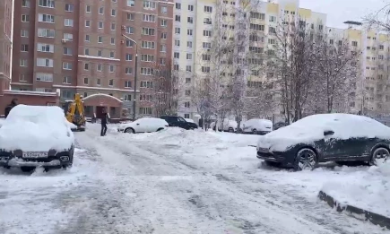 Исполком предупредил жителей Нижнекамска о санкциях за мешающие уборке снега авто - НТР 24