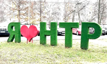 Нижнекамское телевидение отмечает Всемирный день ТВ - НТР 24