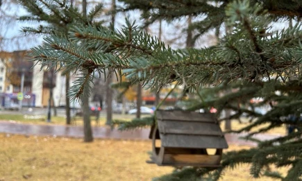 Какая погода ждёт Татарстан в выходные, рассказали синоптики - НТР 24