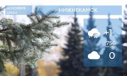 Прогноз погоды в Нижнекамске на 26-е ноября 2025 года - НТР 24
