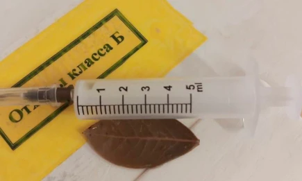 Обычный ужин едва не стал последним для жителя Нижнекамска из-за лаврового листа - НТР 24