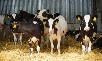 Минсельхозпрод РТ объявляет прием заявок на возмещение части затрат для ЛПХ - НТР 24