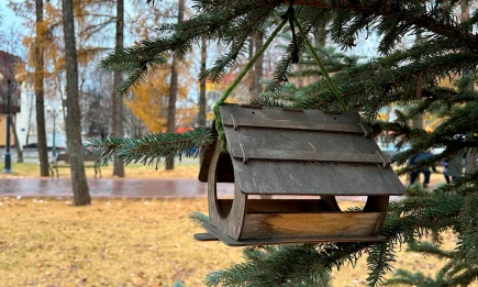 В Татарстане 6 ноября ожидается дождь и сильный ветер - НТР 24