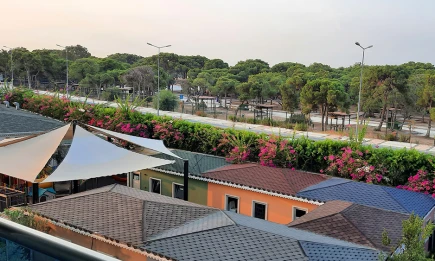 Из Татарстана начали летать прямые рейсы на остров Фукуок - НТР 24