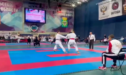 Нижнекамские каратисты завоевали 8 медалей на всероссийских соревнованиях - НТР 24