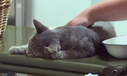 Врач объяснил россиянам, как бороться с хронической усталостью - НТР 24