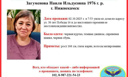 В Нижнекамске больше месяца ищут пропавшую женщину в сиреневой шапке - НТР 24