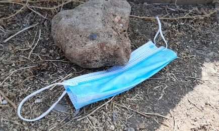 Роспотребнадзор предупредил туристов о вспышке лихорадки денге на Мальдивах - НТР 24