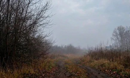 Выходные в Татарстане начнутся с небольшого потепления и дождя с туманом - НТР 24