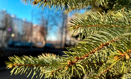 Выходные вернут тёплую, но дождливую погоду в Татарстан - НТР 24