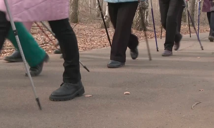 Нижнекамцев приглашают на фестиваль северной ходьбы - НТР 24