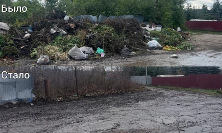 Свалку площадью 87 кв. м ликвидировали в Нижнекамске по предостережению экологов - НТР 24