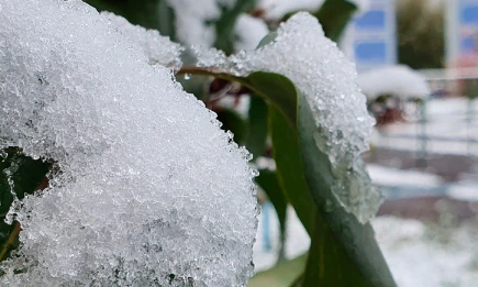 В Татарстане предстоящая зима станет самой короткой за последние 20 лет - НТР 24