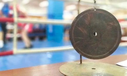 В Татарстан на турнир по смешанным единоборствам приедет Хабиб Нурмагомедов - НТР 24