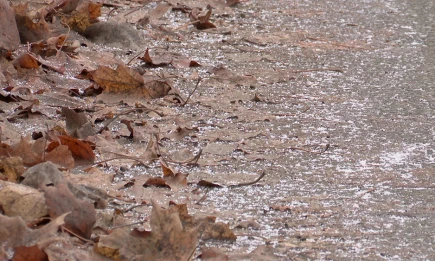 С началом ноября в Татарстан придут дожди, туманы и первые заморозки - НТР 24