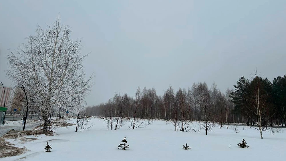 Снег в Нижнекамске