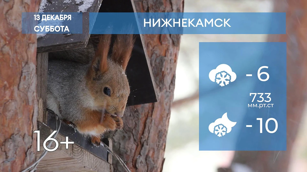 Прогноз погоды в Нижнекамске на 13-е декабря 2025 года