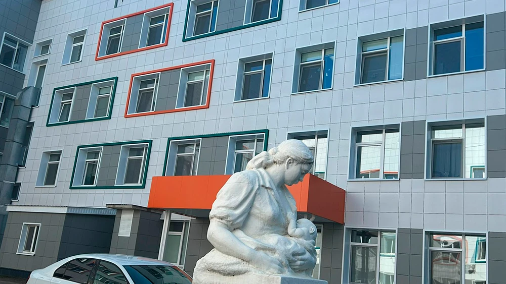 Нижнекамский перинатальный центр