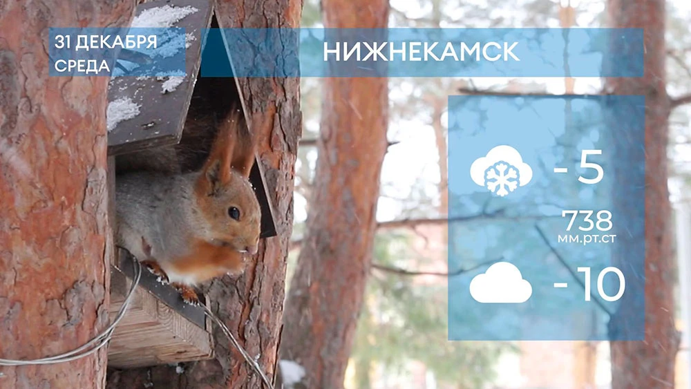 Прогноз погоды в Нижнекамске на 31-е декабря 2025 года