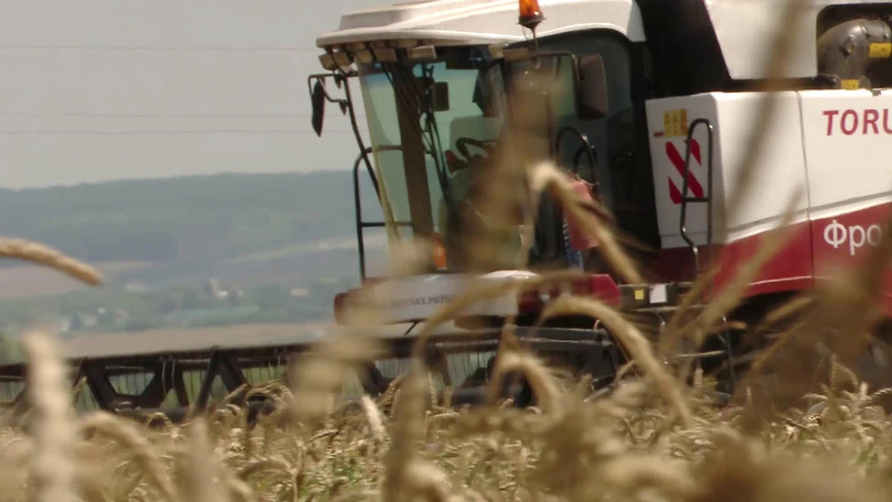 уборочная страда в Нижнекамском районе комбайн работает в поле