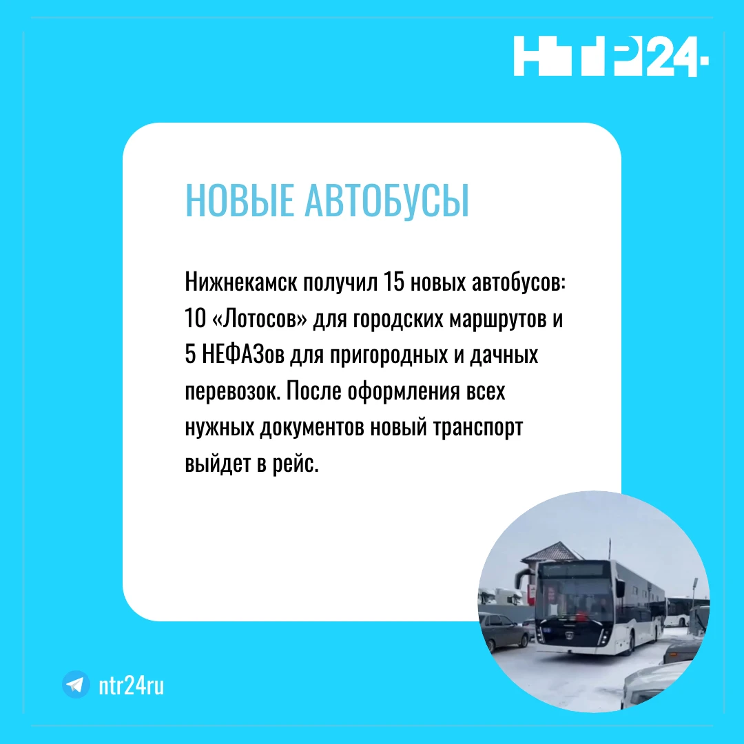 Нижнекамск получил пятнадцать новых автобусов: десять «Лотосов» для городских маршрутов и пять НЕФАЗов для пригородных и дачных перевозок. После оформления всех нужных документов новый транспорт выйдет в рейс