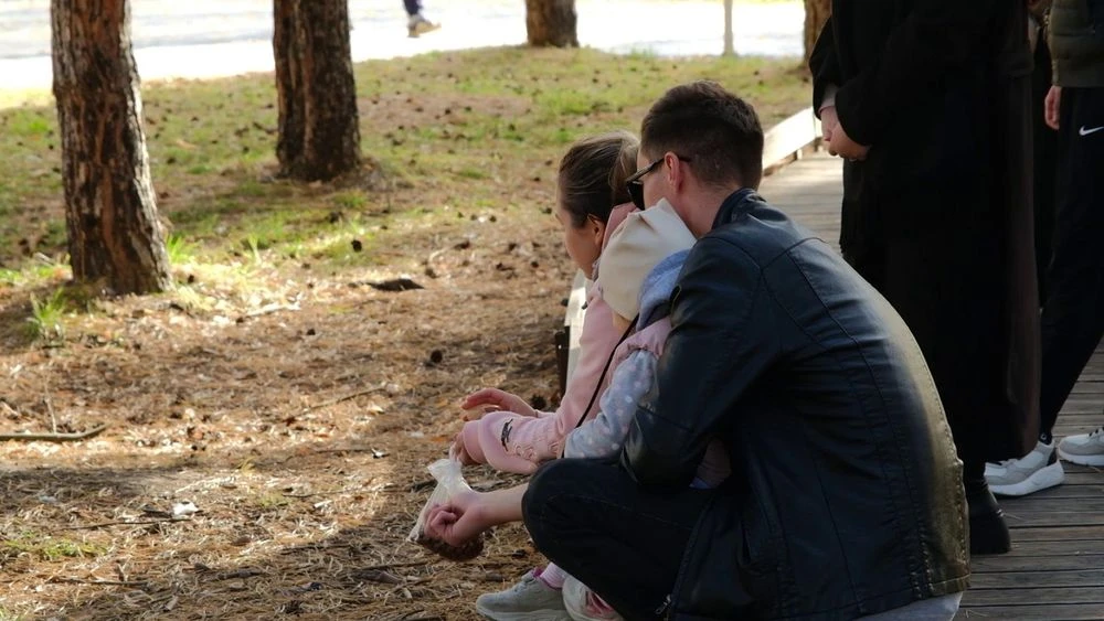 Отец и мать с ребенком кормят белок в парке Семья в Нижнекамске