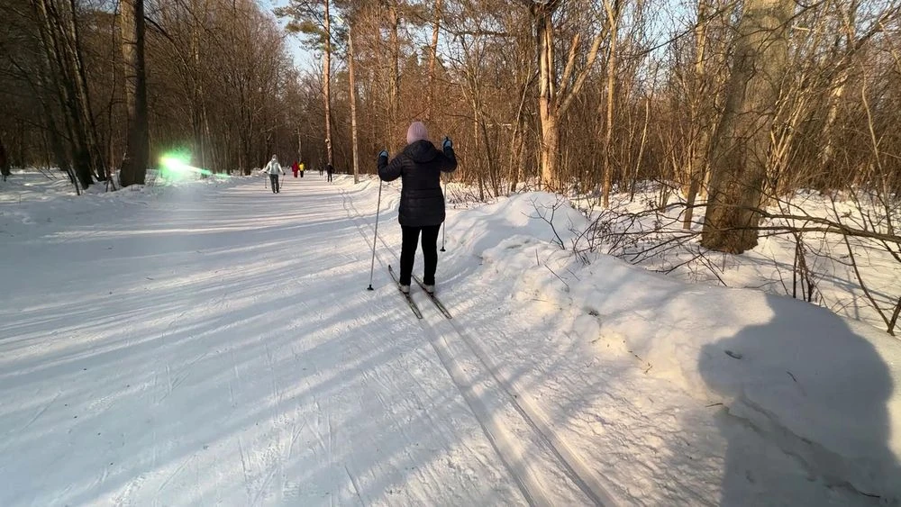 женщина катается на лыжах в лесу