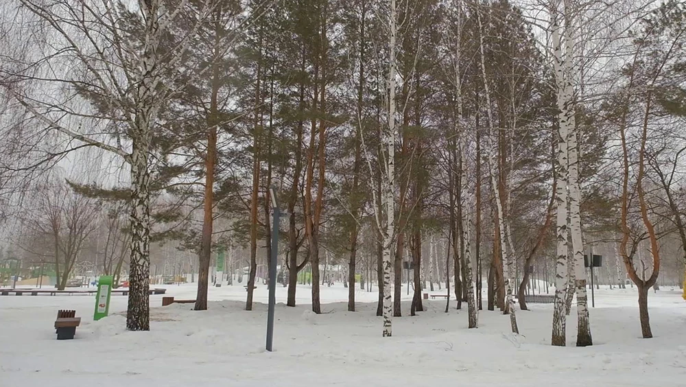 Парк Семья в Нижнекамске зимой