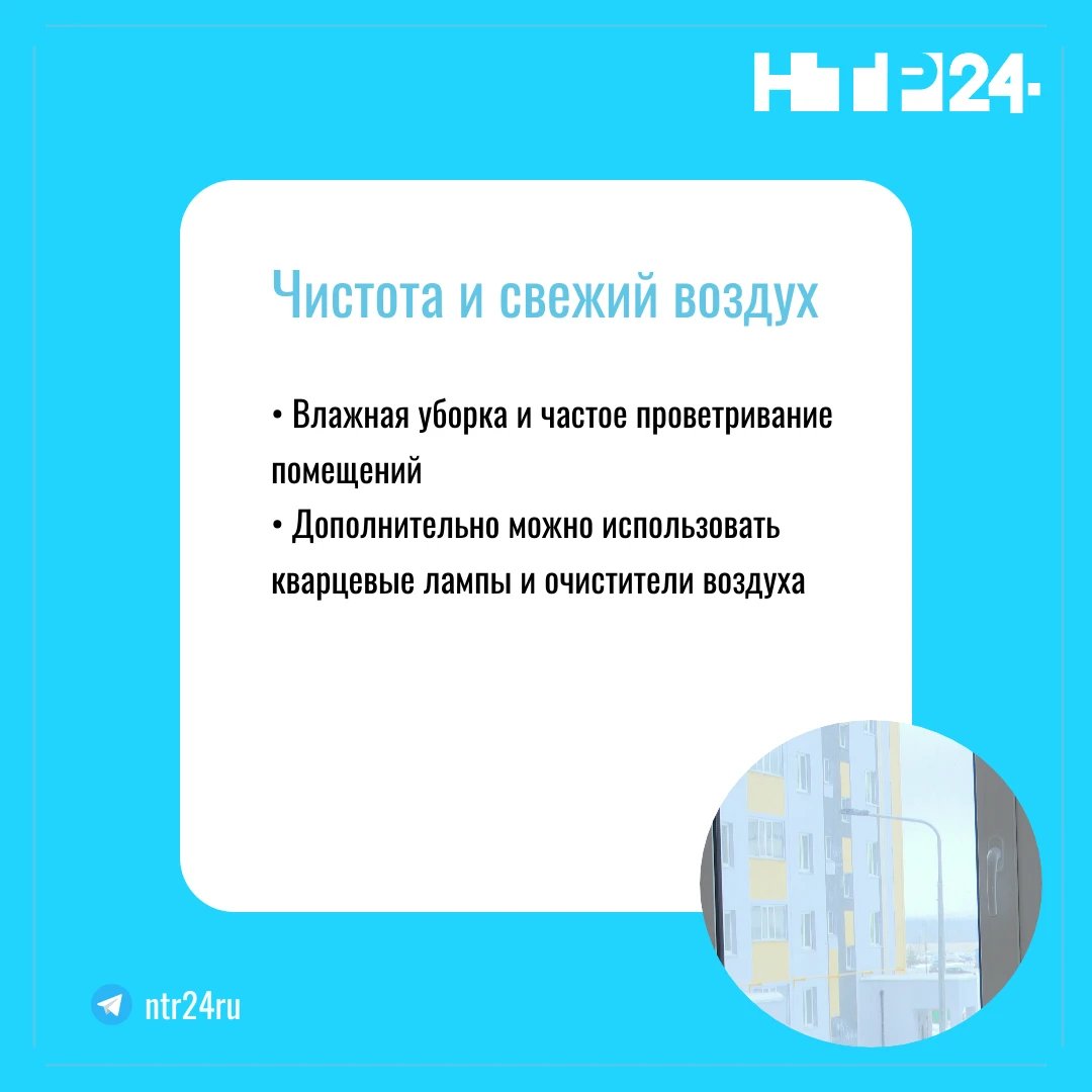 Чистота и свежий воздух: Влажная уборка и частое проветривание помещений; Дополнительно можно использовать кварцевые лампы и очистители воздуха