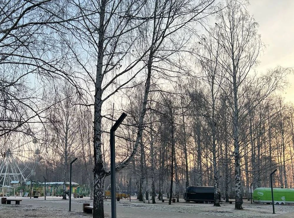 парк семья в нижнекамске поздней осенью иней