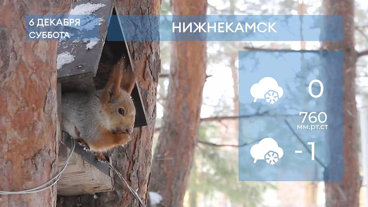 Прогноз погоды в Нижнекамске на 6-е декабря 2025 года