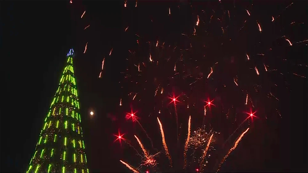 Фейерверк в небе рядом с новогодней ёлкой